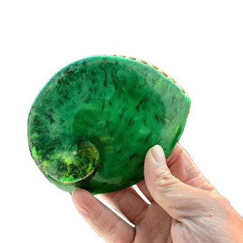 13-15cm Green Abalone Φυσικό Ενυδρείο Παραλίας Εξωραϊσμός Διακόσμηση Σπίτι Γάμου Ναυτικό Διακόσμηση P6w1