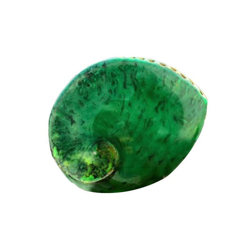 13-15 cm zöld abalone természetes tengeri akvárium strand tereprendezés Esküvő lakberendezés Tengerészeti dekor P6w1