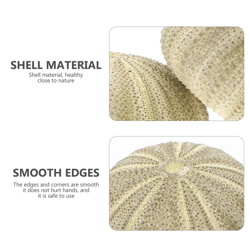 Urchin Shell Sea Airholder Függő ültető edény zamatos kagylók dekoráció természetes váza tengeri mini edények barkácsolt Ornamentterrarium