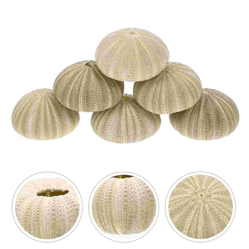 Urchin Shell Sea Airholder Függő ültető edény zamatos kagylók dekoráció természetes váza tengeri mini edények barkácsolt Ornamentterrarium