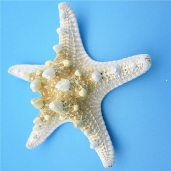 10 τμχ/Παρτίδες Χειροτεχνίες White Bread Sea Shell Starfish, Fashion Διακοσμητικά Χειροτεχνήματα για το Σπίτι