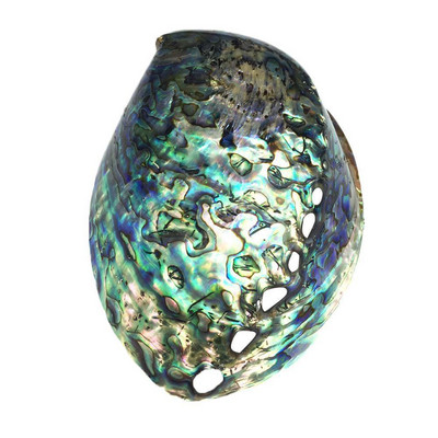 9-12cm Μεγάλο Rainbow Abalone Shell Charm Beach Seashell Car Διακόσμηση σπιτιού γραφείου Φυσικό κοχύλι Όμορφη πολύχρωμη θάλασσα