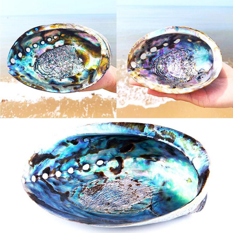 9-12 cm-es nagy szivárvány abalone Shell Charm Beach Seashell Autó Irodaház dekoráció Természetes kagyló Gyönyörű színes tenger