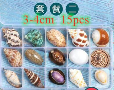 Didelių natūralių jūros kriauklių Paplūdimio kriauklių pavyzdys, skirtas žvejybai tinkle „Schelp“ laivybos namų dekoras Vestuvių vakarėlio dekoro amatai