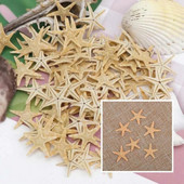 100 de bucăți stele de mare naturale, scoici de mare, meserii de plajă, stele de mare naturale, bricolaj, decorațiuni de nuntă pe plajă, meșteșuguri, decorațiuni pentru acasă epoxidice