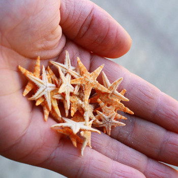 100 ΤΕΜ Φυσικός αστερίας Seashell Beach Craft Natural Sea Stars DIY Χειροτεχνία διακόσμησης γάμου παραλίας Εποξειδική διακόσμηση σπιτιού