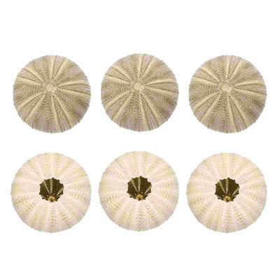 Urchin Shell Sea Airholder Függő ültető edény zamatos kagylók dekoráció természetes váza tengeri mini edények barkácsolt Ornamentterrarium