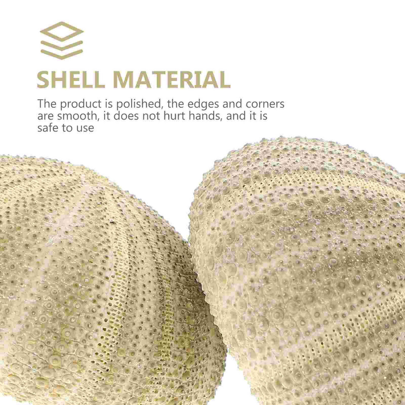 Urchin Shell Sea Airholder Függő ültető edény zamatos kagylók dekoráció természetes váza tengeri mini edények barkácsolt Ornamentterrarium