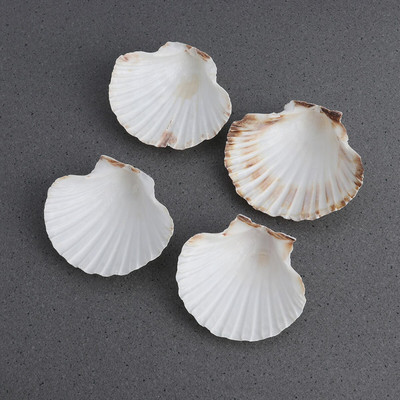 4db 9-14cm mediterrán stílusú barkácsolás Beach Seashells Natural Shells Kézműves Akvárium Tank Dekor