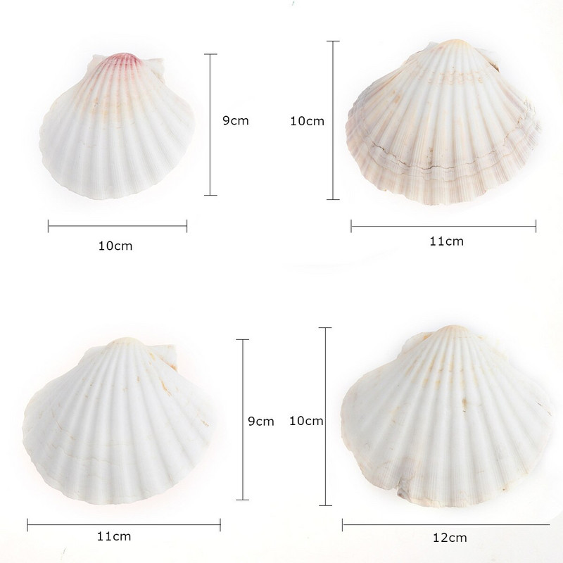 4db 9-14cm mediterrán stílusú barkácsolás Beach Seashells Natural Shells Kézműves Akvárium Tank Dekor