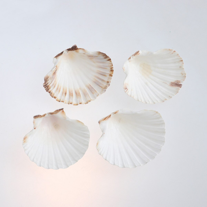 4db 9-14cm mediterrán stílusú barkácsolás Beach Seashells Natural Shells Kézműves Akvárium Tank Dekor