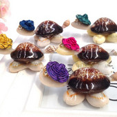 Figurină țestoasă Mini margele Shell Animale în miniatură Plajă Animal de mare Grădină Zână Ornament Spiral Broasca țestoasă naturală