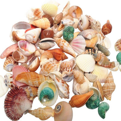 500 g miješanih prirodnih morskih školjki za plažu, set rukotvorina za kućnu dekoraciju akvarija s ribicama