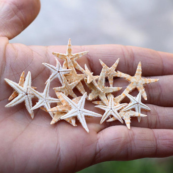 Нови 100 БР. Естествена морска звезда Seashell Beach Craft Естествена декорация на дома Сватбени звезди Направи си сам Епоксиден морски декор Плажни занаяти X8I5
