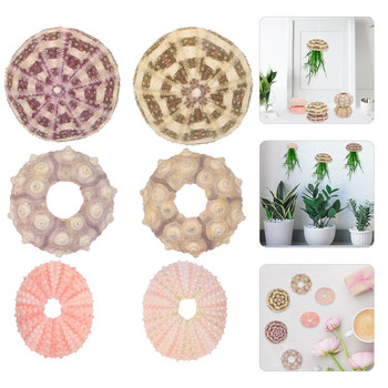 Urchin Sea Air Holder Seashell Decor Planter Pot Succulent Shells Diy Decoration Style Shell Vase Decors Mediterranean