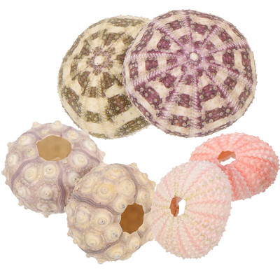 Urchin Sea Air Tartó Tengeri kagyló dekor ültető edény zamatos kagylók barkács dekoráció stílus kagyló váza dekorok mediterrán