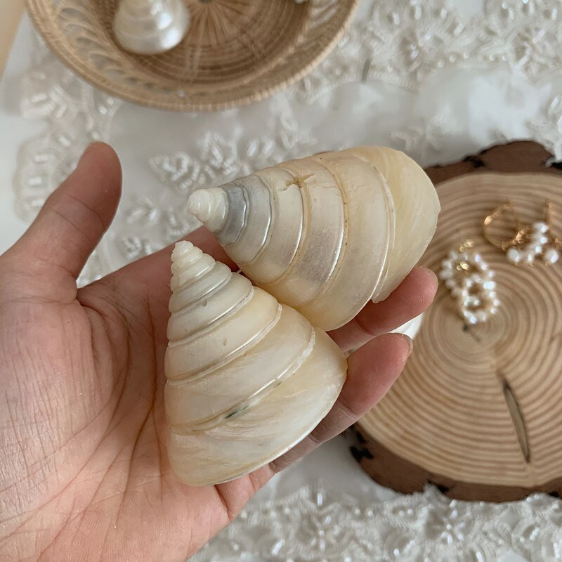 CuteLife Nordic Jewelry Natural Shell Otthoni dekoráció Tengerparti Esküvői Kiegészítők Shell Akvárium Dísz Akvárium Kagyló Nyaklánc