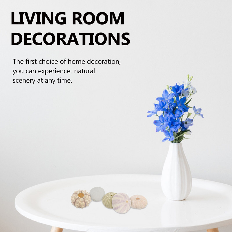 Sea Airurchin Holder Shell Sodinamosios vazonas Tillandsia Seashell Sultingas jūrinis dekoras Natūrali gėlė Vasebeach Urchins Decors
