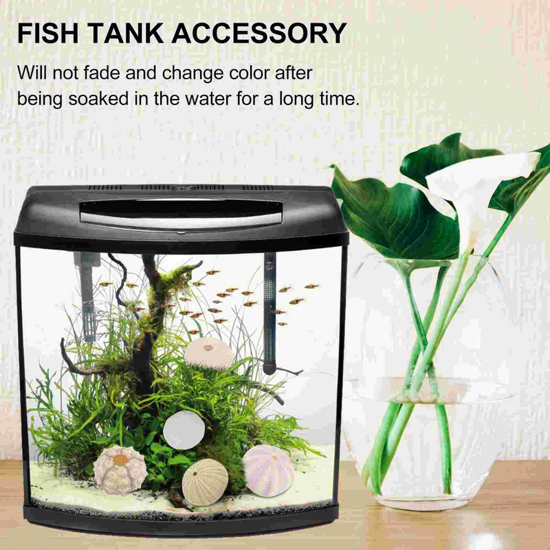 Sea Airurchin Holder Shell Sodinamosios vazonas Tillandsia Seashell Sultingas jūrinis dekoras Natūrali gėlė Vasebeach Urchins Decors