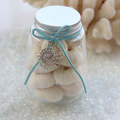 Ingyenes szállítás (1 palack/tétel) Természetes kis tengeri sün palackkészlet Natural Shell & Conch Beach esküvői, parti és ünnepi dekoráció