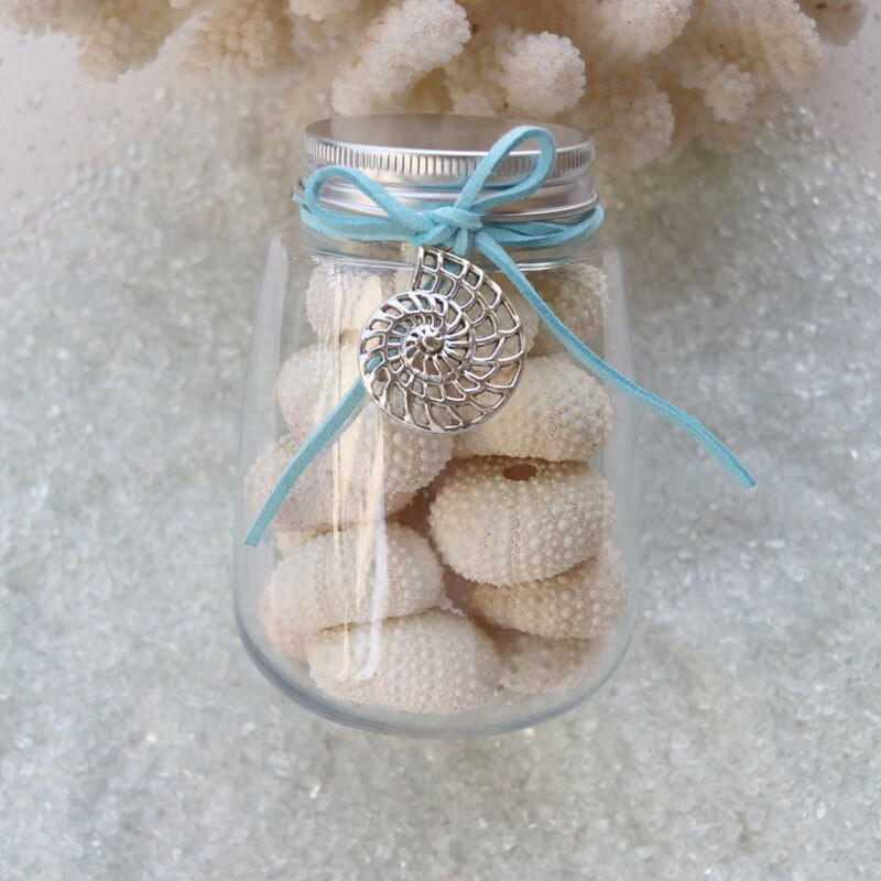 Ingyenes szállítás (1 palack/tétel) Természetes kis tengeri sün palackkészlet Natural Shell & Conch Beach esküvői, parti és ünnepi dekoráció