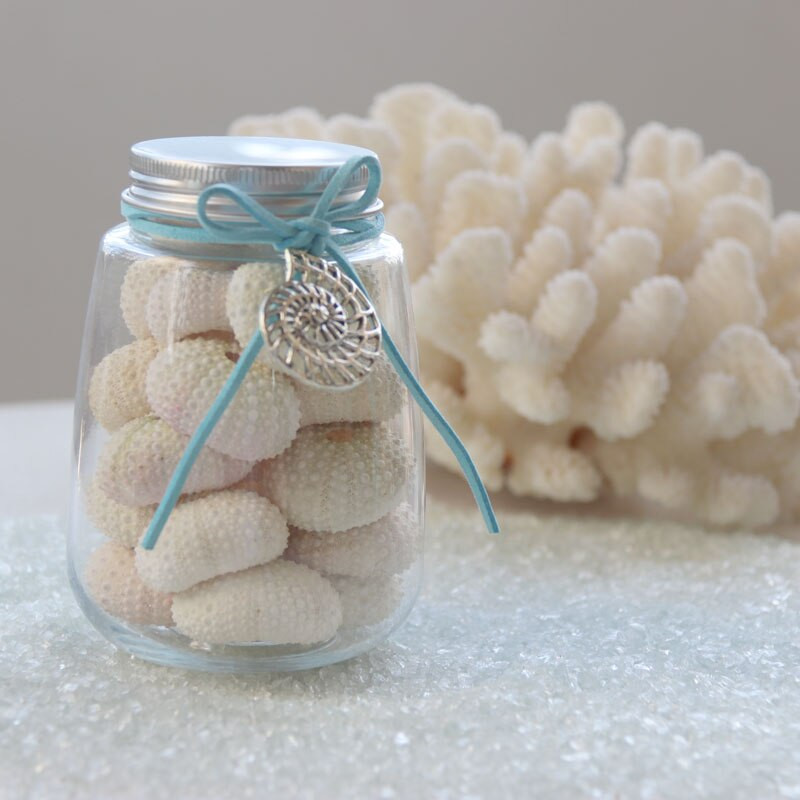 Ingyenes szállítás (1 palack/tétel) Természetes kis tengeri sün palackkészlet Natural Shell & Conch Beach esküvői, parti és ünnepi dekoráció