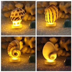 Ingyenes szállítás (4db/tétel)Shell LED Light Natural Shell esküvői és karácsonyi bárdekoráció, kézzel készített kézműves parti kellékek