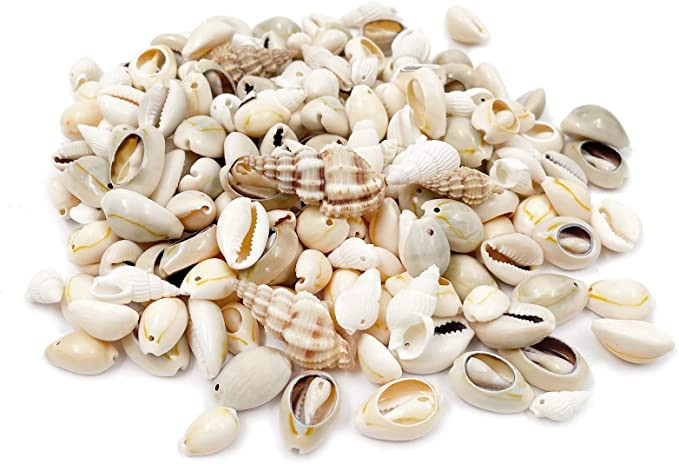 150-200db Vegyes tengeri kagylók Ocean Beach Spirálos kagylók Kézműves bűbáj otthoni dekorációhoz, tematikus bulihoz, gyertyakészítéshez
