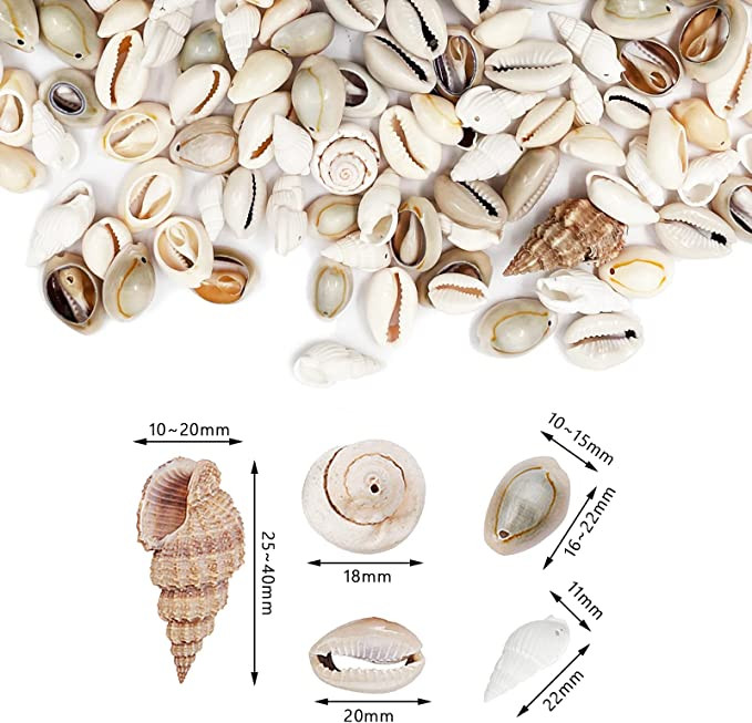 150-200db Vegyes tengeri kagylók Ocean Beach Spirálos kagylók Kézműves bűbáj otthoni dekorációhoz, tematikus bulihoz, gyertyakészítéshez