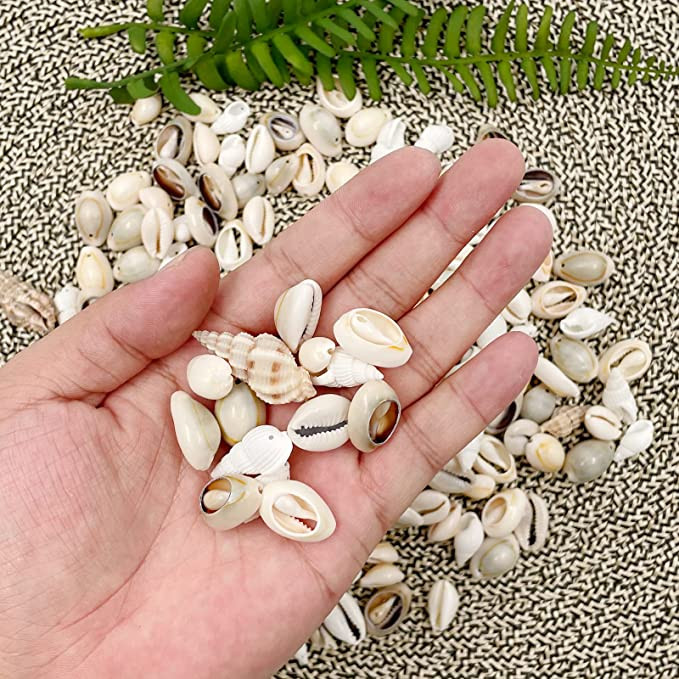 150-200db Vegyes tengeri kagylók Ocean Beach Spirálos kagylók Kézműves bűbáj otthoni dekorációhoz, tematikus bulihoz, gyertyakészítéshez