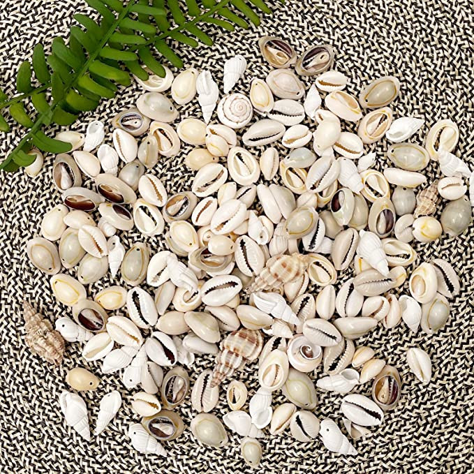 150-200db Vegyes tengeri kagylók Ocean Beach Spirálos kagylók Kézműves bűbáj otthoni dekorációhoz, tematikus bulihoz, gyertyakészítéshez