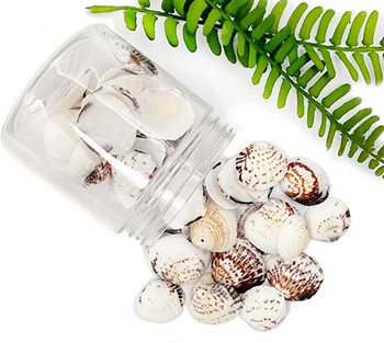 50 τμχ Sea Shells Seashells Ocean Beach Seashells Craft Charms για διακόσμηση σπιτιού, θεματικό πάρτι, διακόσμηση γάμου με κεριά