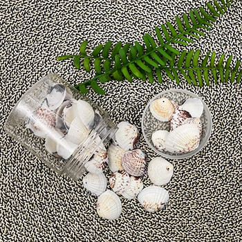 50 бр. Морски черупки Ocean Beach Seashells Изработени талисмани за домашни декорации, тематично парти, правене на свещи сватбен декор