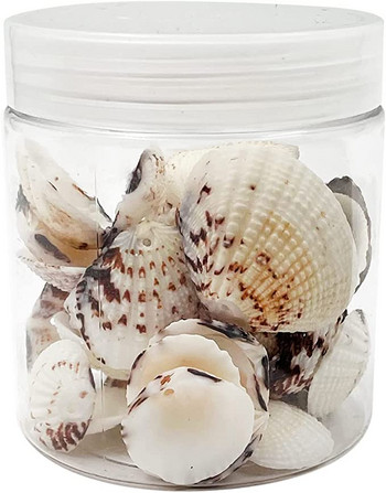 50 τμχ Sea Shells Seashells Ocean Beach Seashells Craft Charms για διακόσμηση σπιτιού, θεματικό πάρτι, διακόσμηση γάμου με κεριά