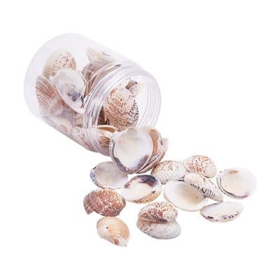 50 τμχ Sea Shells Seashells Ocean Beach Seashells Craft Charms για διακόσμηση σπιτιού, θεματικό πάρτι, διακόσμηση γάμου με κεριά