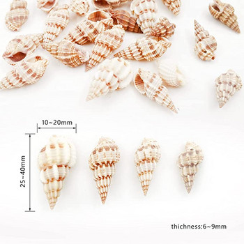 50 τμχ Μικτά κοχύλια θάλασσας Ocean Beach Spiral Seashells Craft Charms για διακόσμηση σπιτιού, θεματικό πάρτι, κεριά