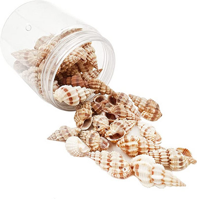 50 τμχ Μικτά κοχύλια θάλασσας Ocean Beach Spiral Seashells Craft Charms για διακόσμηση σπιτιού, θεματικό πάρτι, κεριά