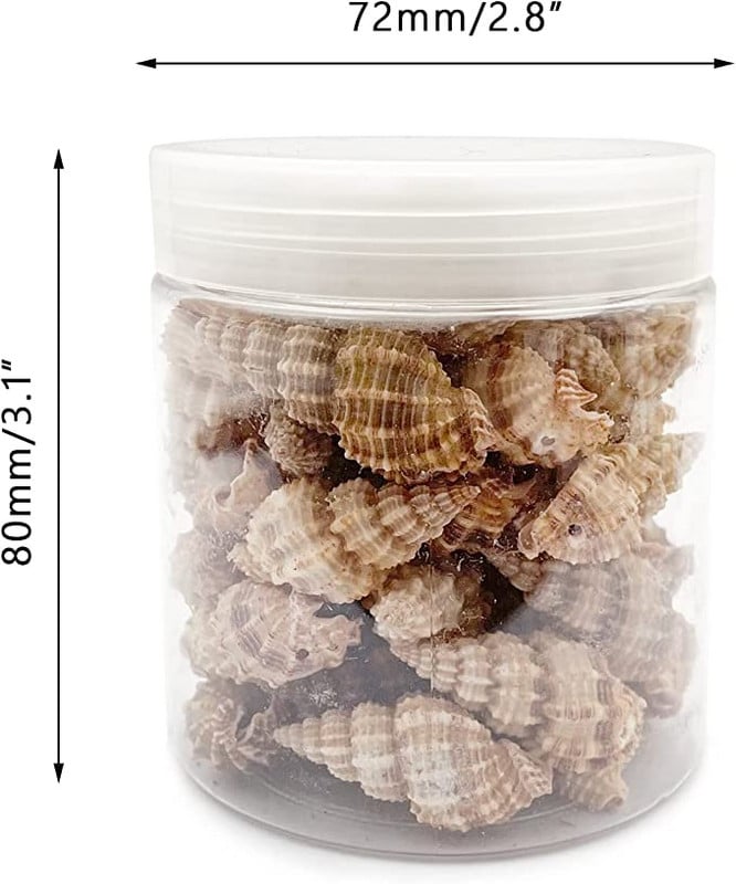 50db Vegyes tengeri kagylók Ocean Beach spirál tengeri kagylók kézműves bűbáj otthoni dekorációhoz, tematikus bulihoz, gyertyakészítéshez