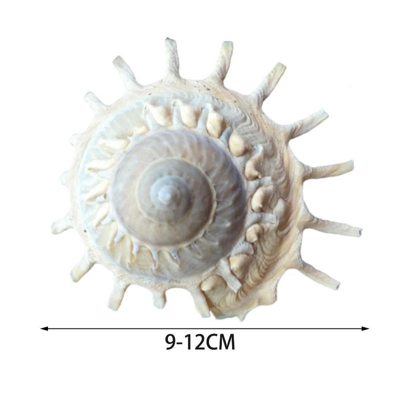 Carrier Shell Akvárium Dekoráció Tengeri Tengeri Téma Kiegészítők Hajózási Otthoni Ékszerek Solaris Decor Stellaria B5N6
