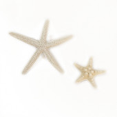 10 DB Starfishes Ocean Beach Starfish esküvői dekorációhoz, strand tematikus partikhoz, otthoni dekorációkhoz, barkácsoláshoz, akváriumhoz