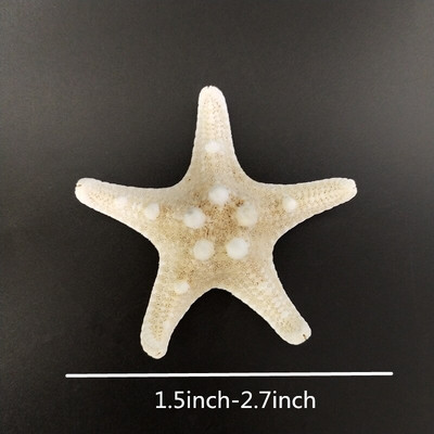 10 DB Starfishes Ocean Beach Starfish esküvői dekorációhoz, strand tematikus partikhoz, otthoni dekorációkhoz, barkácsoláshoz, akváriumhoz