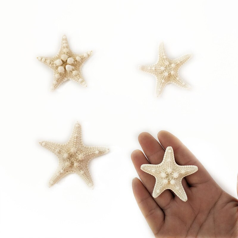 10 DB Starfishes Ocean Beach Starfish esküvői dekorációhoz, strand tematikus partikhoz, otthoni dekorációkhoz, barkácsoláshoz, akváriumhoz