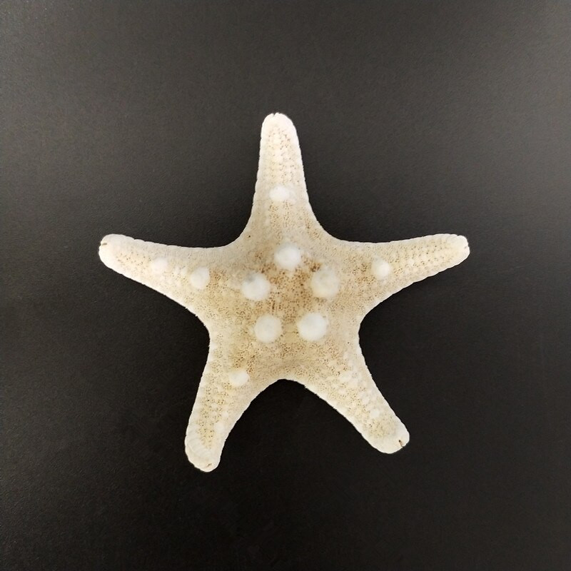 10 DB Starfishes Ocean Beach Starfish esküvői dekorációhoz, strand tematikus partikhoz, otthoni dekorációkhoz, barkácsoláshoz, akváriumhoz