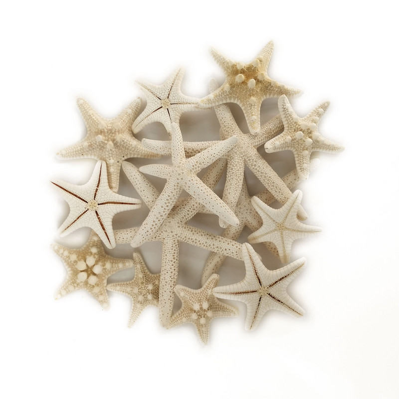 10 DB Starfishes Ocean Beach Starfish esküvői dekorációhoz, strand tematikus partikhoz, otthoni dekorációkhoz, barkácsoláshoz, akváriumhoz