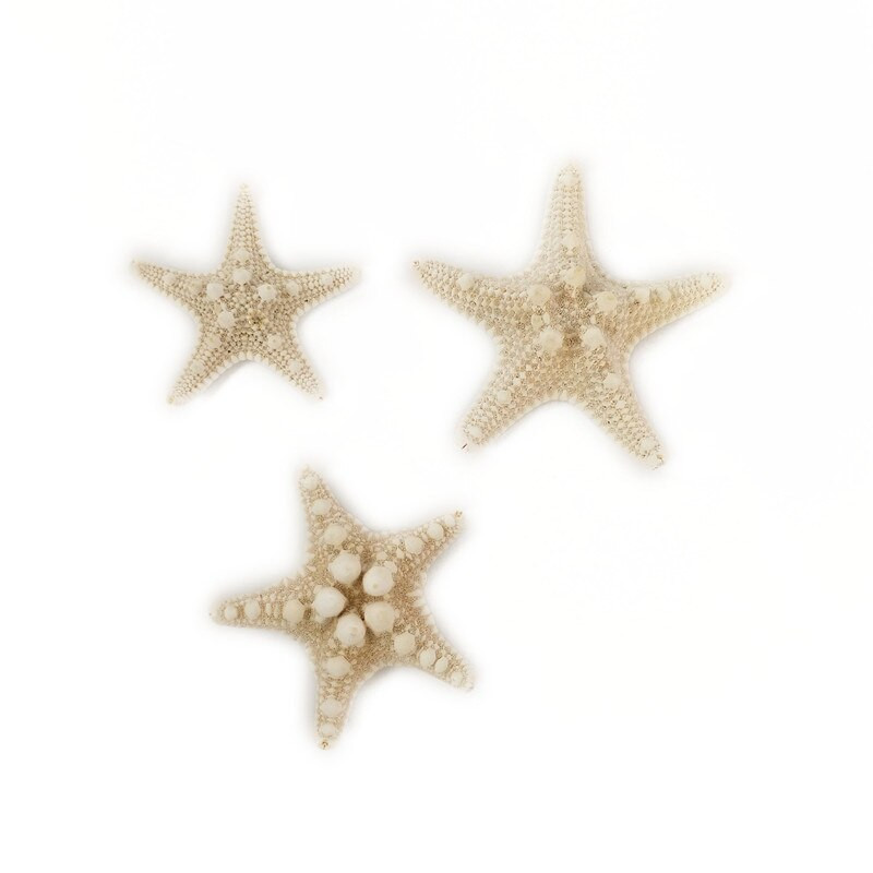 10 DB Starfishes Ocean Beach Starfish esküvői dekorációhoz, strand tematikus partikhoz, otthoni dekorációkhoz, barkácsoláshoz, akváriumhoz