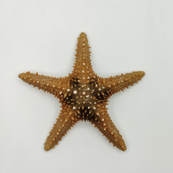 22-25 cm Super Sea Star Overlord Brown Декорация на домашна градина Фотографски реквизит Fish Tank Landscaping