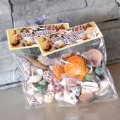 170 g vegyes óceáni tengeri kagylók barkácsolás esküvői dekoráció tengerparti tematikus parti, természetes kézműves akváriumi akvárium dekor Tengeri kagyló