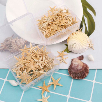 1 Κουτί Natural Starfish Seashell Beach Craft Natural Sea Stars DIY Χειροτεχνία διακόσμησης γάμου παραλίας Διακόσμηση σπιτιού Εποξειδική 1-5cm