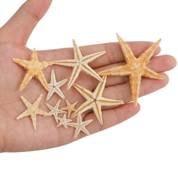 1 кутия Естествени морски звезди Seashell Beach Craft Естествени морски звезди Направи си сам Плажна сватбена декорация Занаяти Начало Декор Епоксид 1-5 см