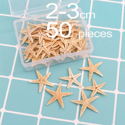 1 doboz természetes tengeri csillag Seashell Beach Craft Természetes tengeri csillagok DIY Beach Esküvői Dekoráció Kézműves Otthoni Dekoráció Epoxi 1-5 cm
